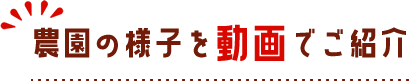 農園の様子を動画でご紹介