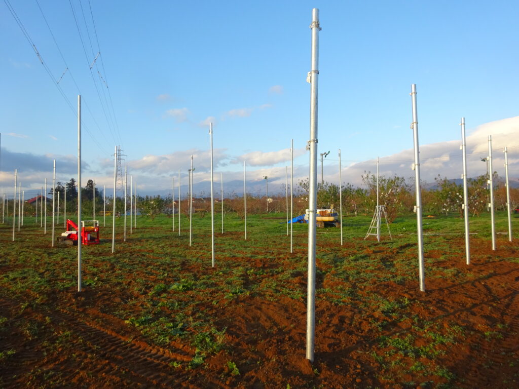 リンゴ高密植栽培用棚増設