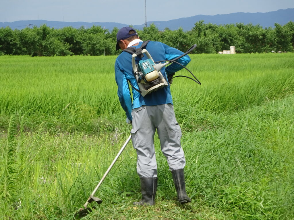 ネパールから福島の農家へ